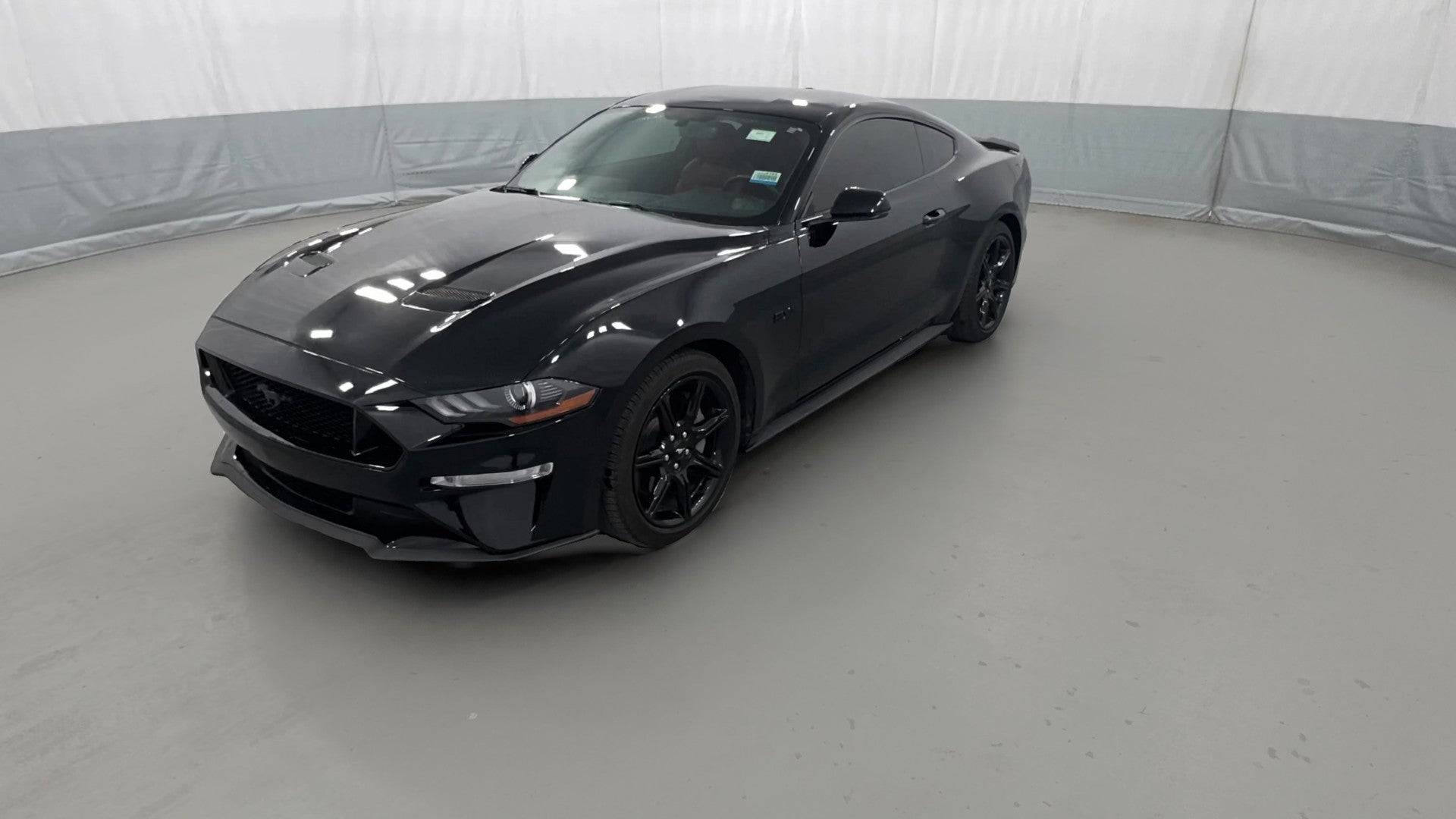 2019 Ford Mustang vehicle photo