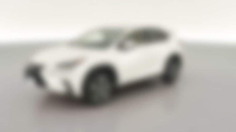 2019 Lexus NX vehicle photo