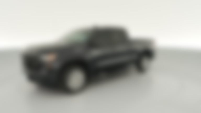 2022 Chevrolet Silverado 1500 Double Cab vehicle photo