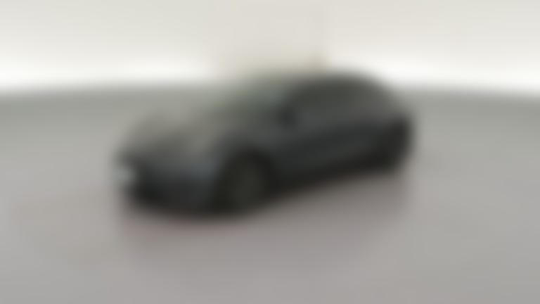 2021 Tesla Model 3 vehicle photo