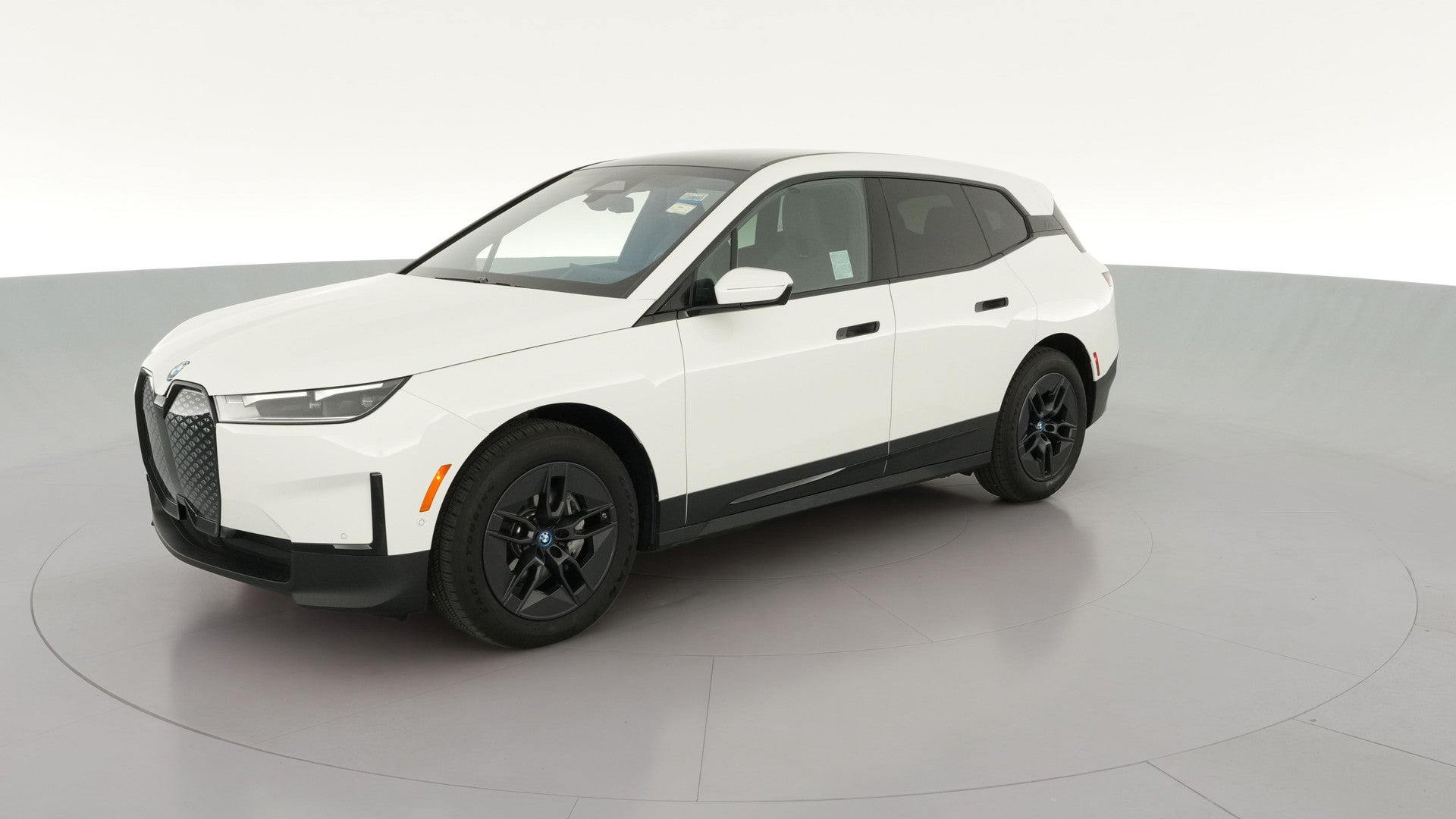 2025 BMW iX vehicle photo