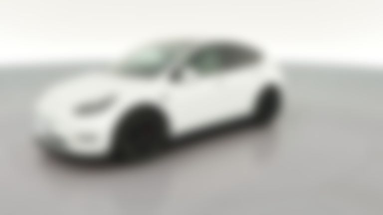2021 Tesla Model Y vehicle photo