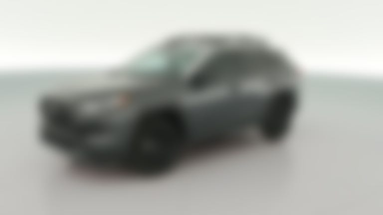 2024 Toyota RAV4 vehicle photo
