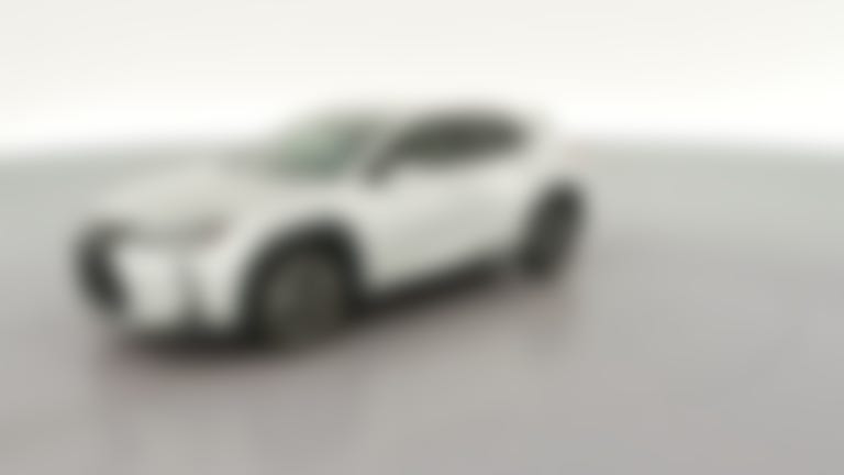 2019 Lexus UX vehicle photo