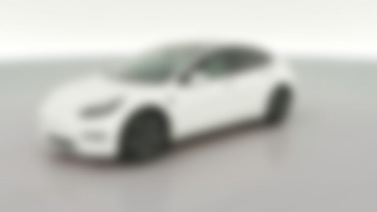 2021 Tesla Model 3 vehicle photo