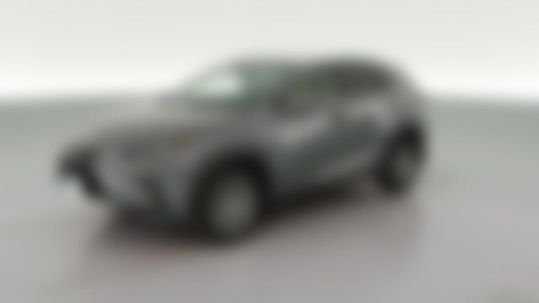 2019 Lexus NX vehicle photo