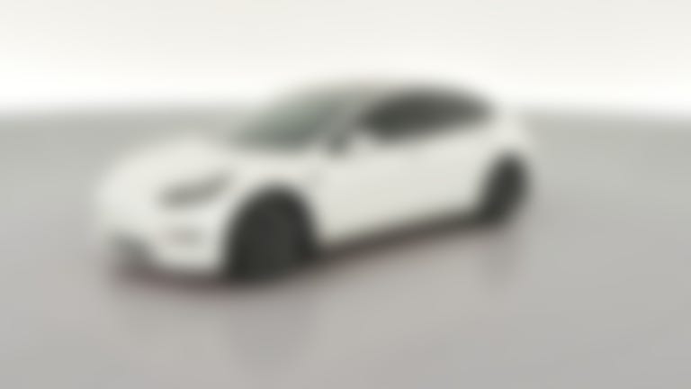 2021 Tesla Model 3 vehicle photo