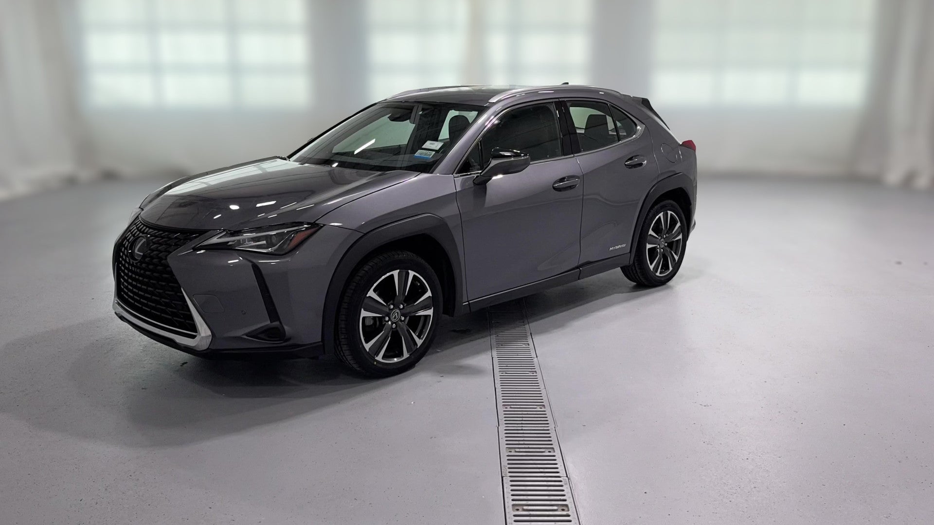 2019 Lexus UX vehicle photo