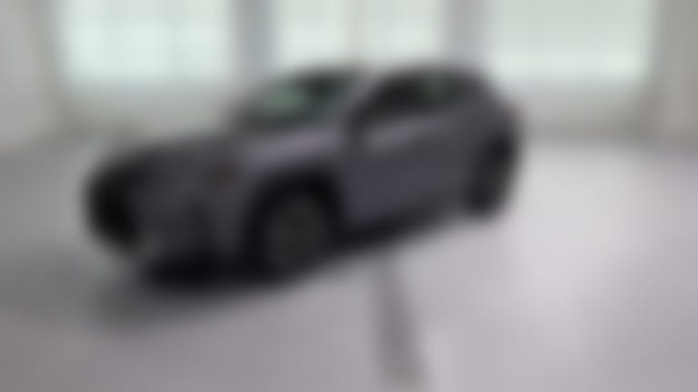 2019 Lexus UX vehicle photo