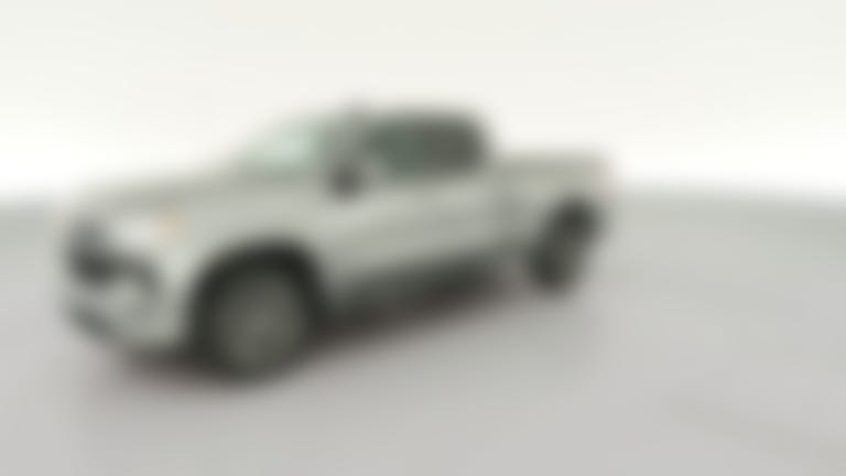 2023 Chevrolet Silverado 1500 Double Cab vehicle photo