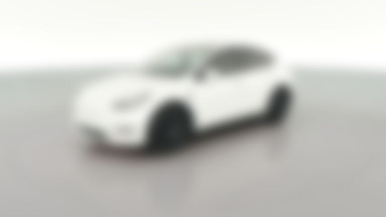 2021 Tesla Model Y vehicle photo