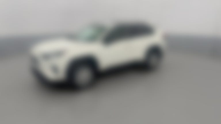 2019 Toyota RAV4 vehicle photo
