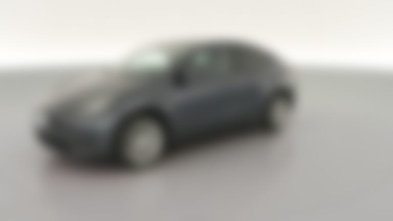 2023 Tesla Model Y vehicle photo