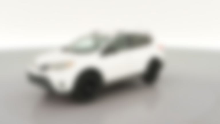 2013 Toyota RAV4 vehicle photo