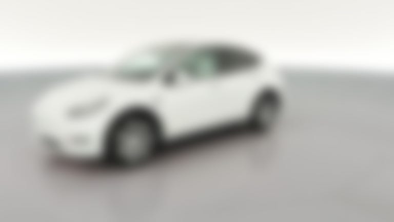 2021 Tesla Model Y vehicle photo