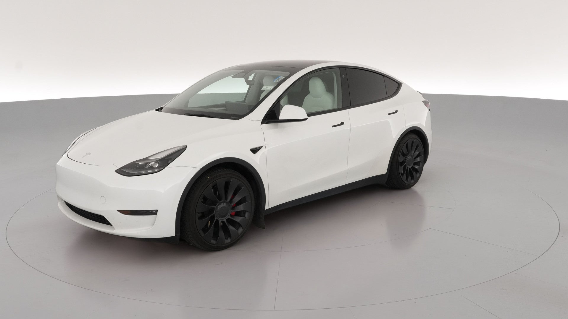 2023 Tesla Model Y vehicle photo