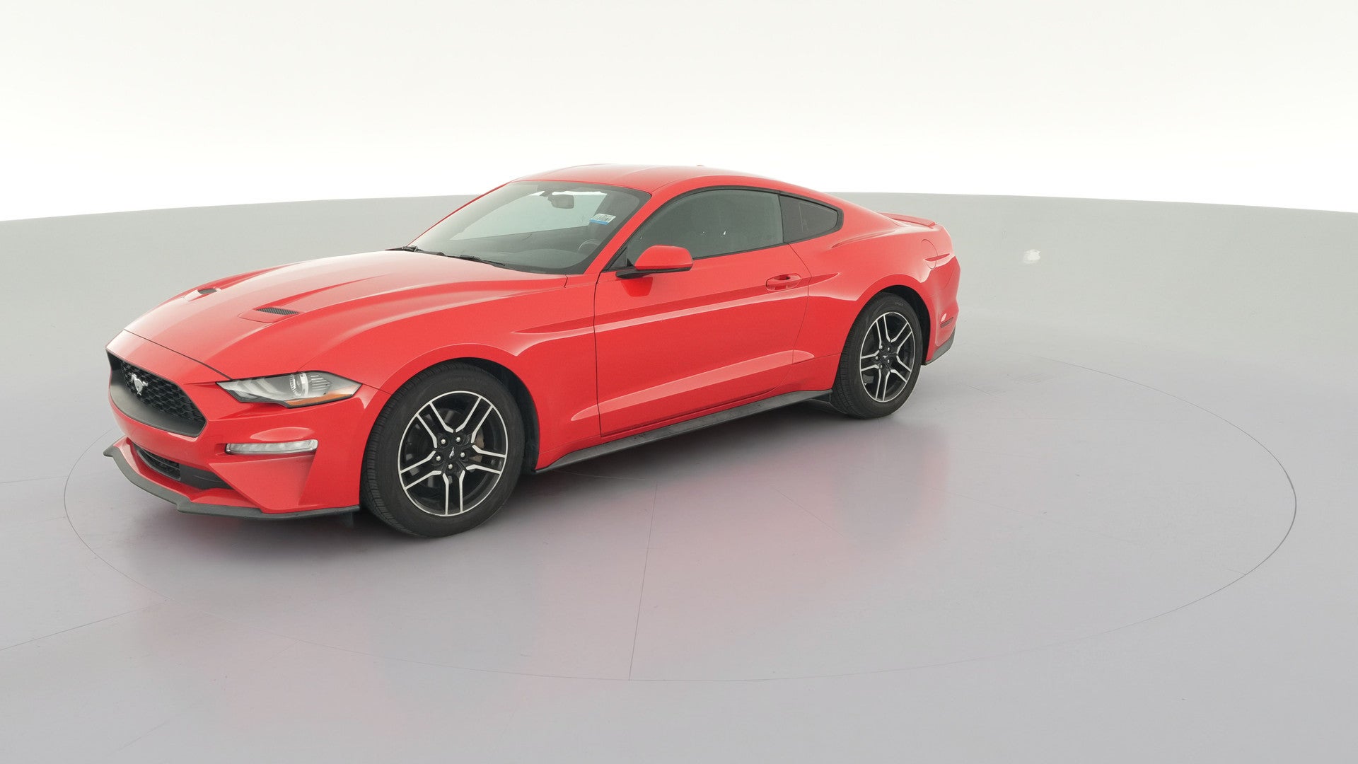 2019 Ford Mustang vehicle photo