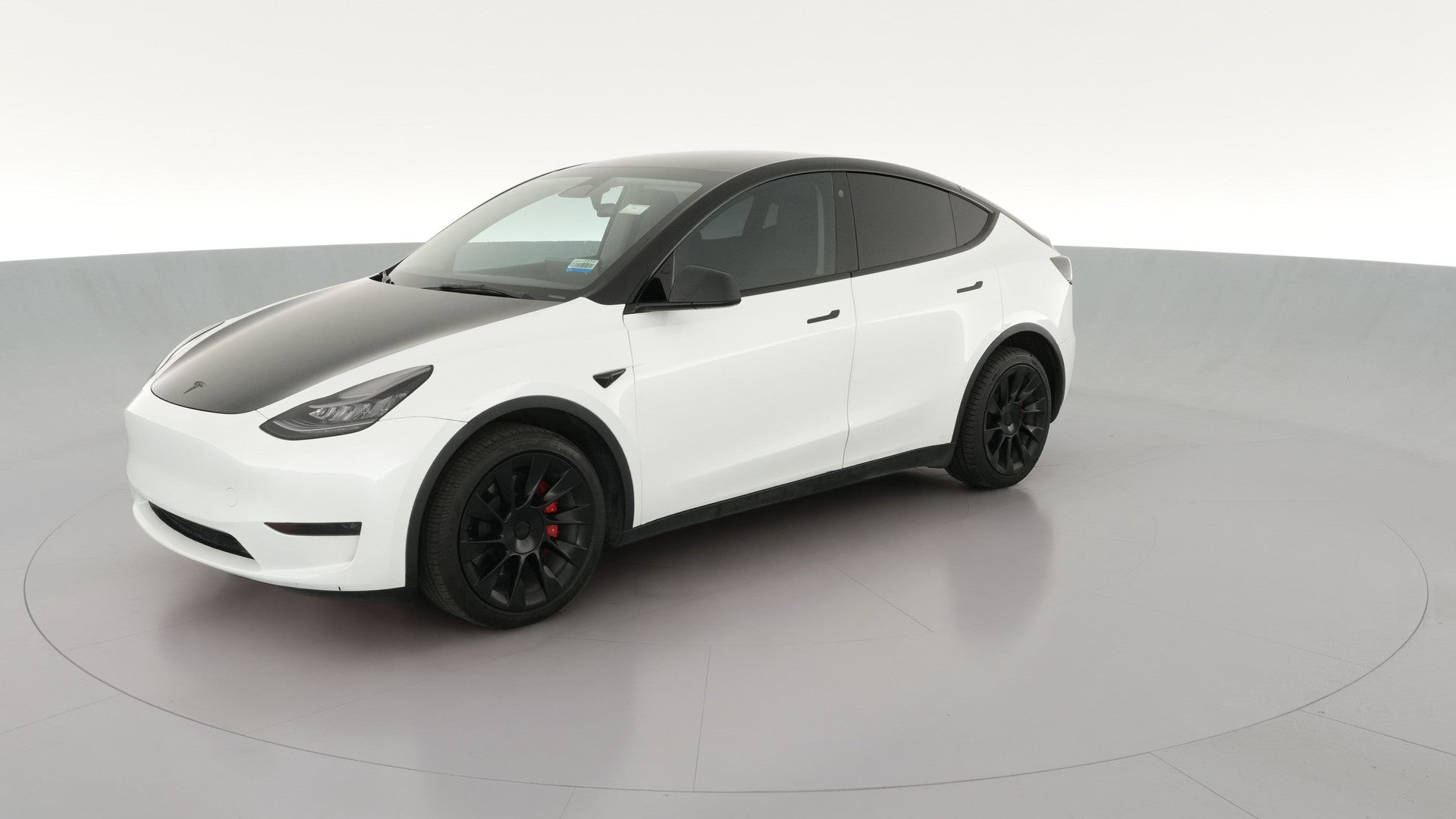 2023 Tesla Model Y vehicle photo