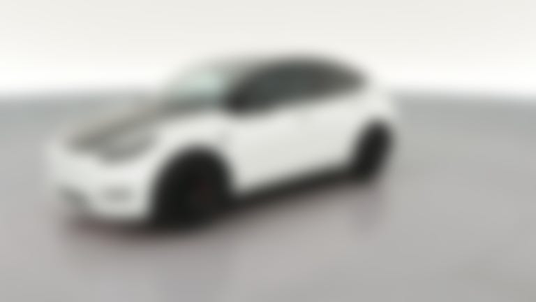 2023 Tesla Model Y vehicle photo