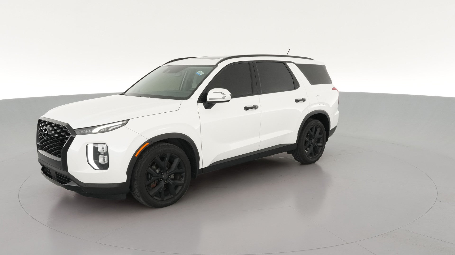 2020 Hyundai Palisade vehicle photo
