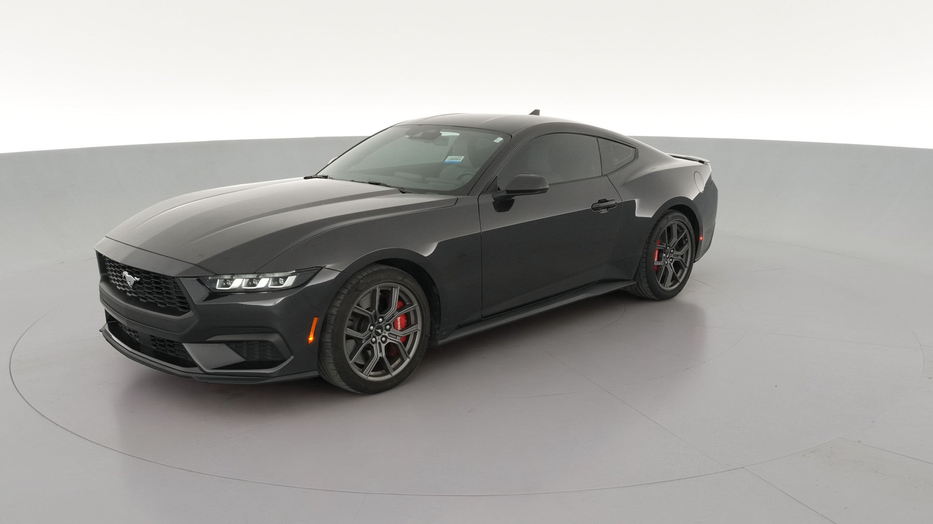 2024 Ford Mustang vehicle photo