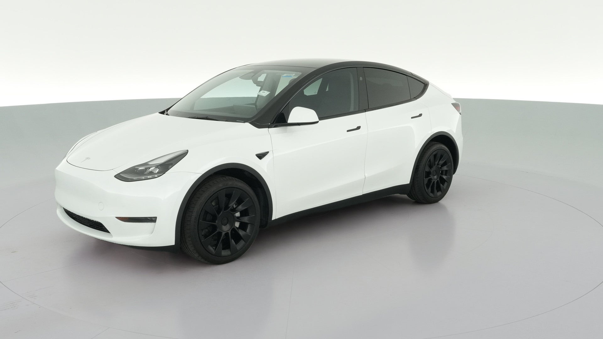 2023 Tesla Model Y vehicle photo