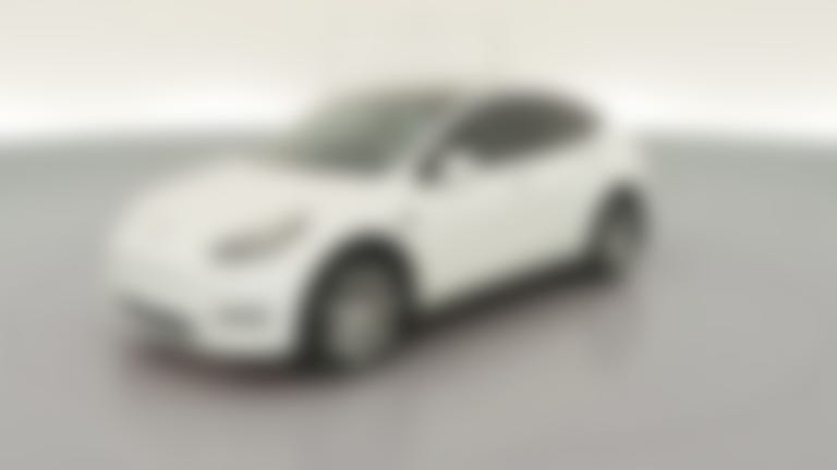 2022 Tesla Model Y vehicle photo