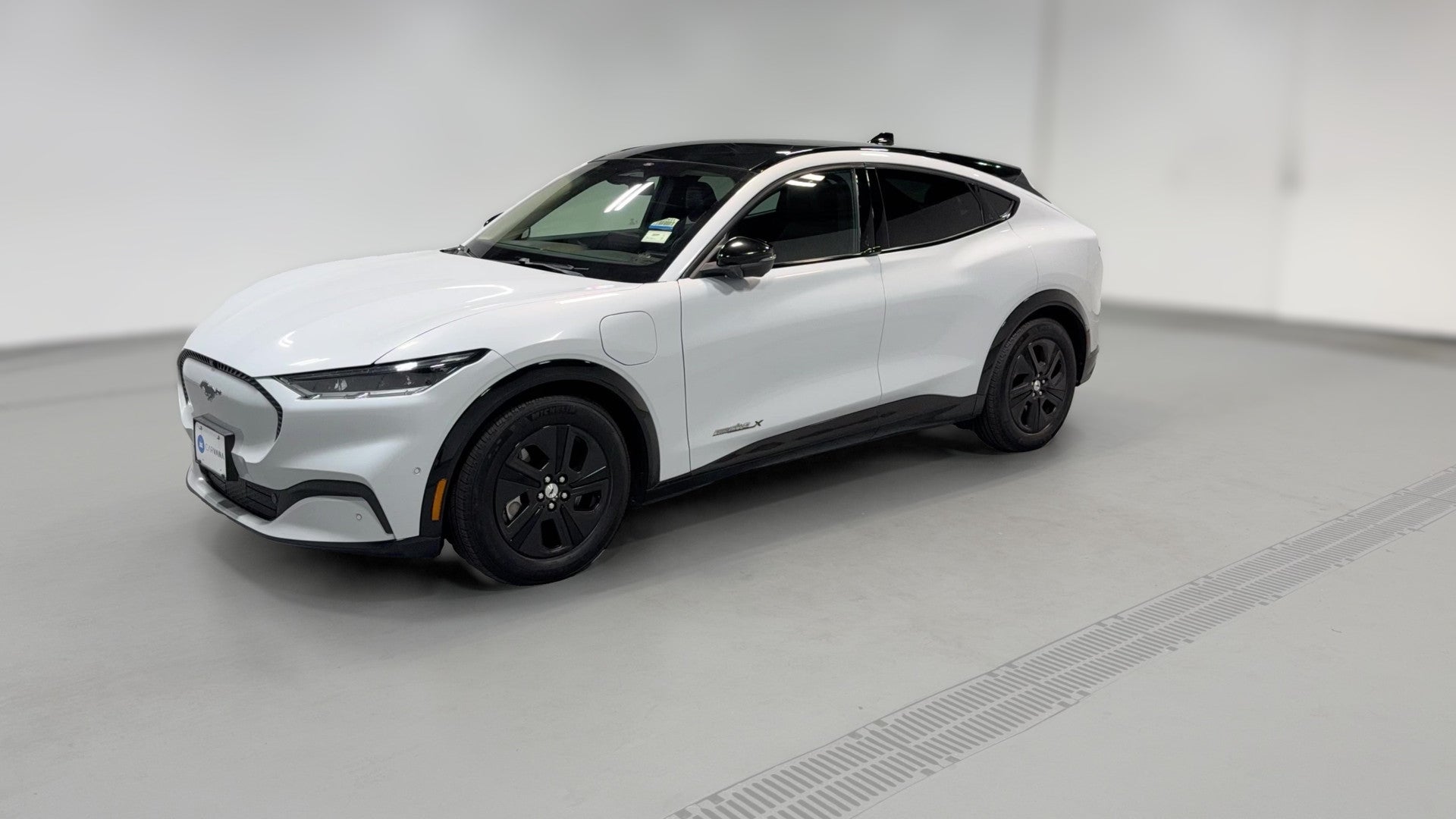 2021 Ford Mustang MACH-E vehicle photo