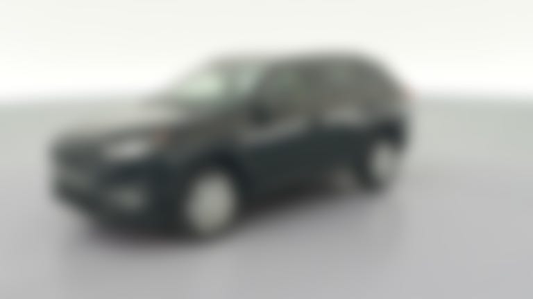 2019 Toyota RAV4 vehicle photo