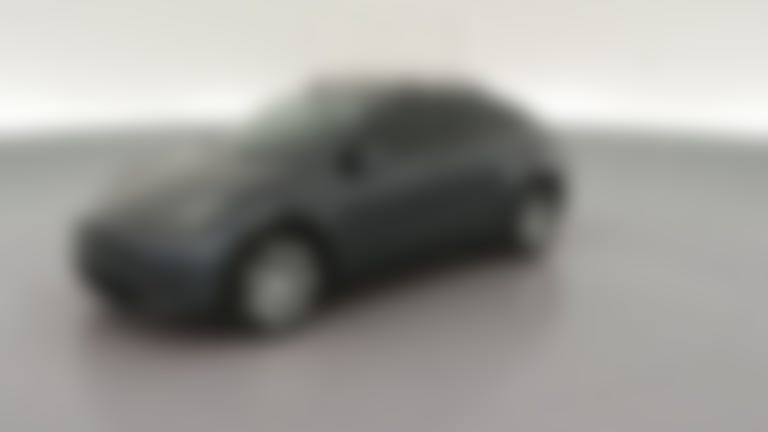 2023 Tesla Model Y vehicle photo