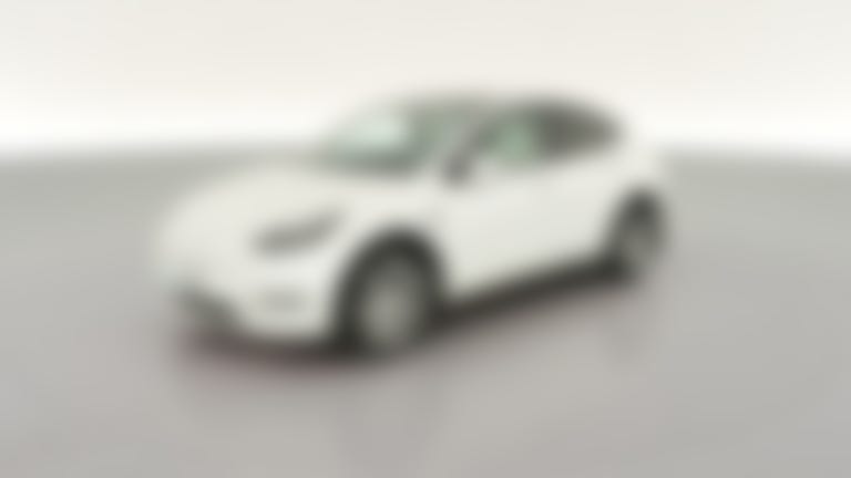 2022 Tesla Model Y vehicle photo