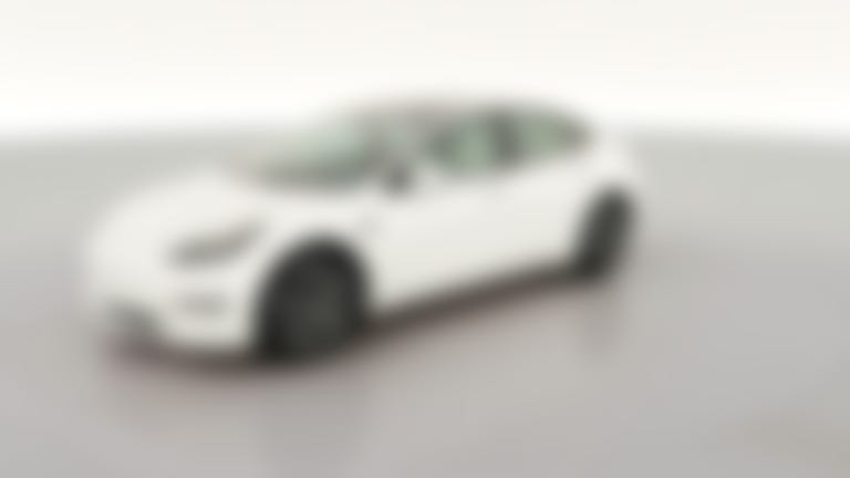 2021 Tesla Model 3 vehicle photo