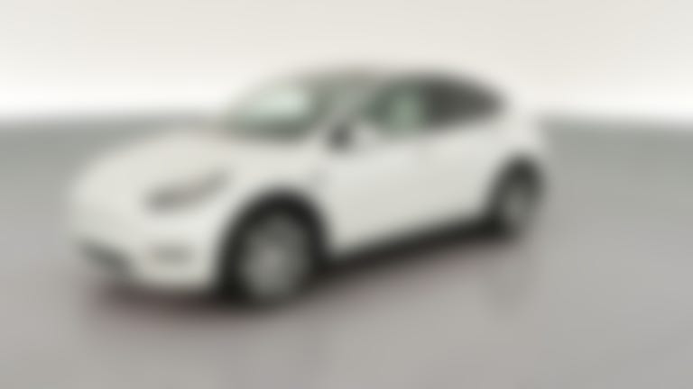 2021 Tesla Model Y vehicle photo