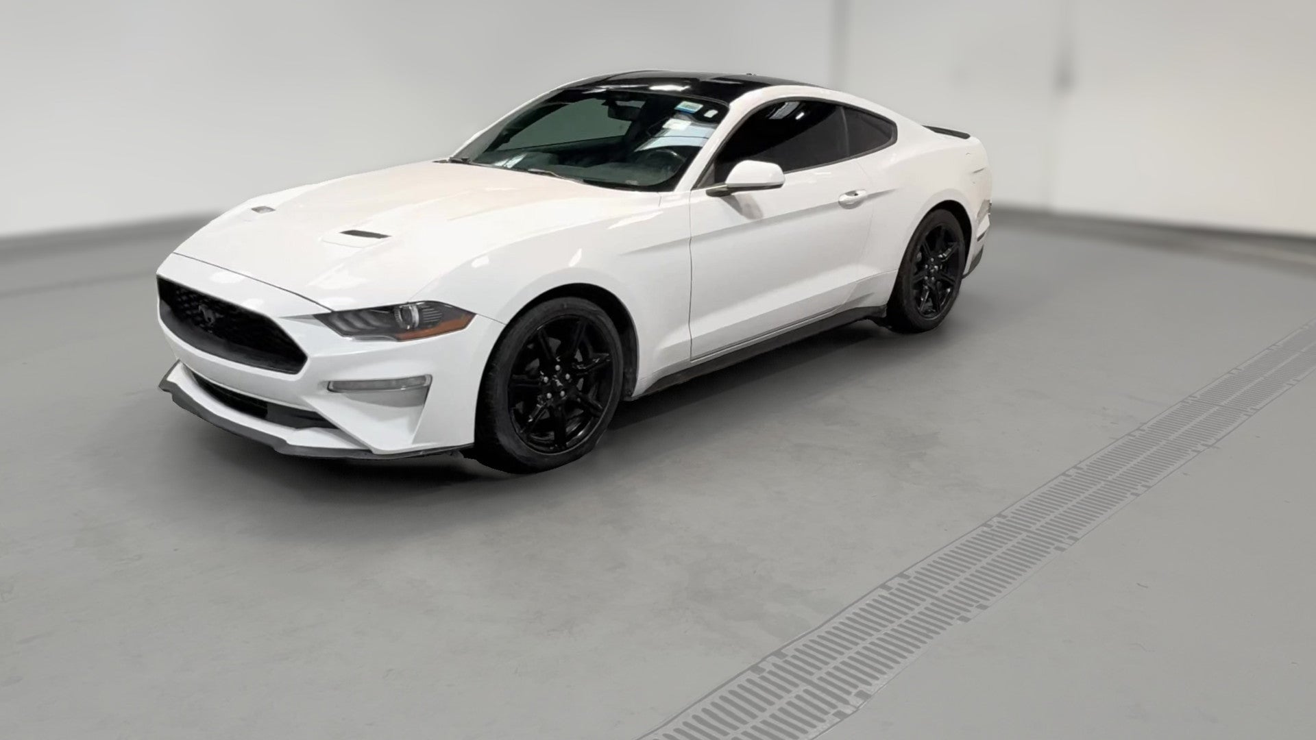 2019 Ford Mustang vehicle photo