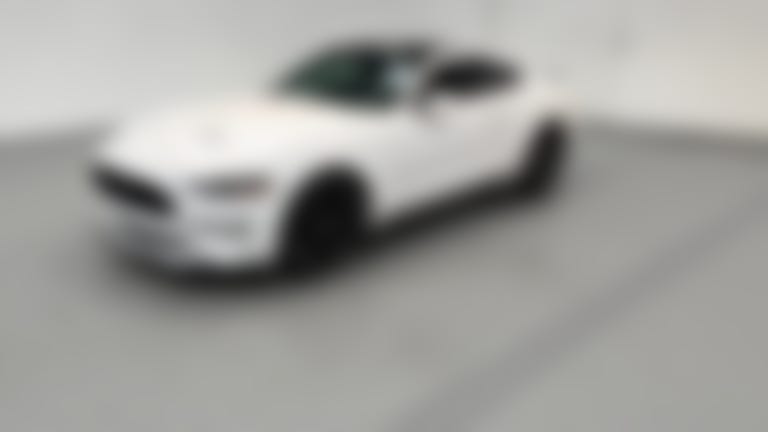 2019 Ford Mustang vehicle photo