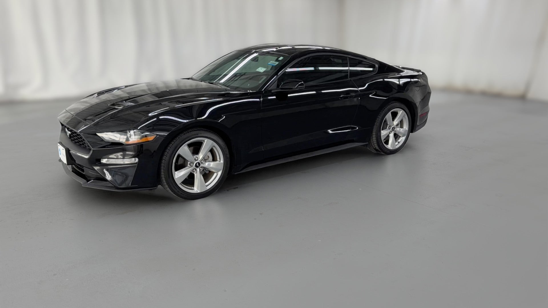 2019 Ford Mustang vehicle photo