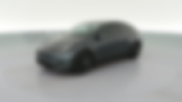 2021 Tesla Model Y vehicle photo