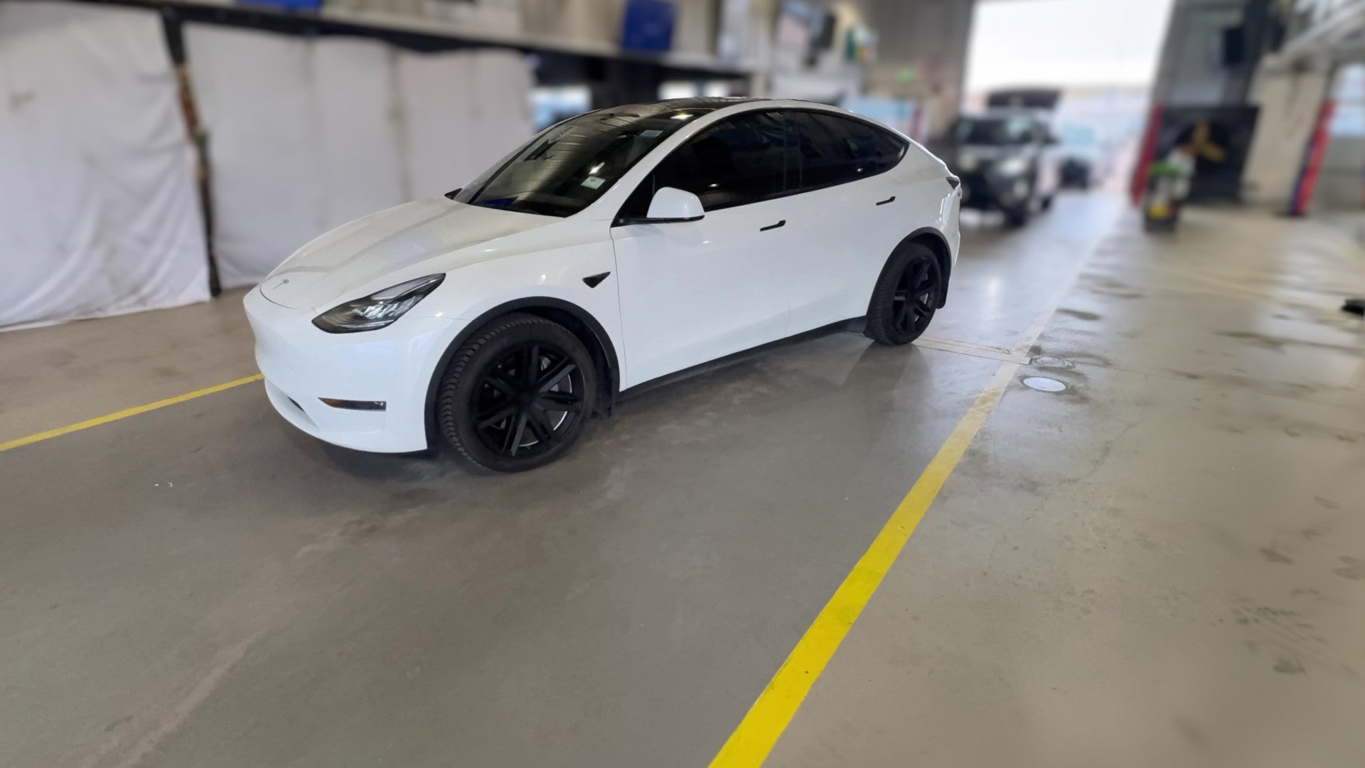 2021 Tesla Model Y vehicle photo