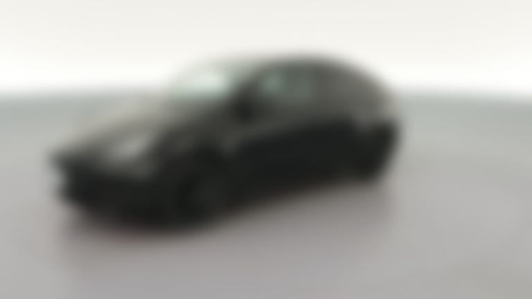 2023 Tesla Model Y vehicle photo