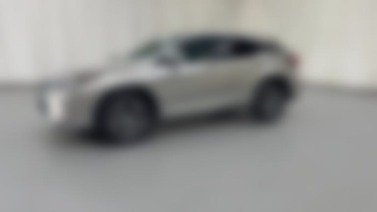 2020 Lexus RX vehicle photo