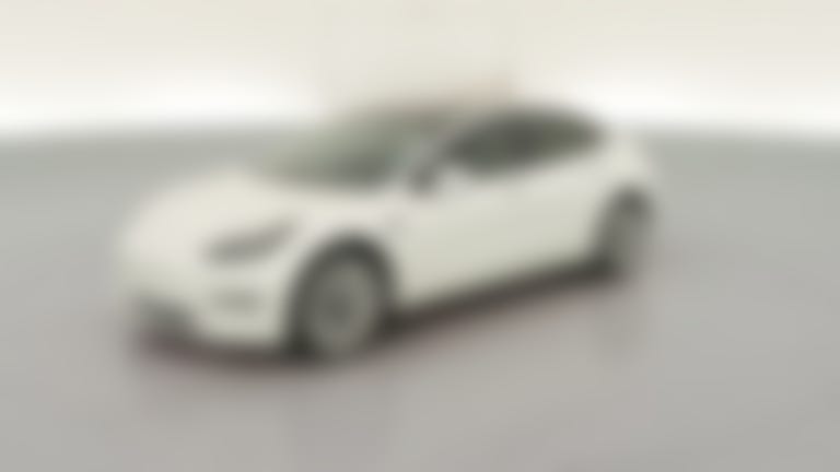 2021 Tesla Model 3 vehicle photo