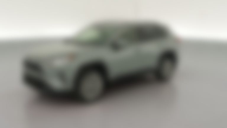 2019 Toyota RAV4 vehicle photo
