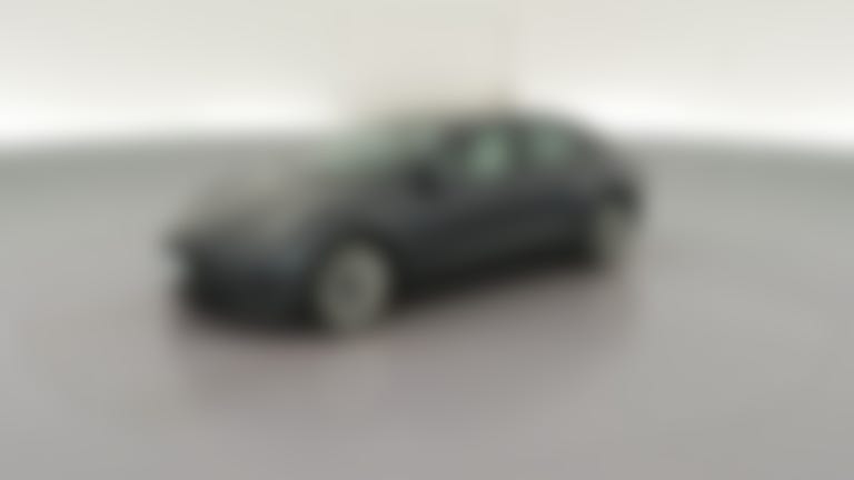 2023 Tesla Model 3 vehicle photo
