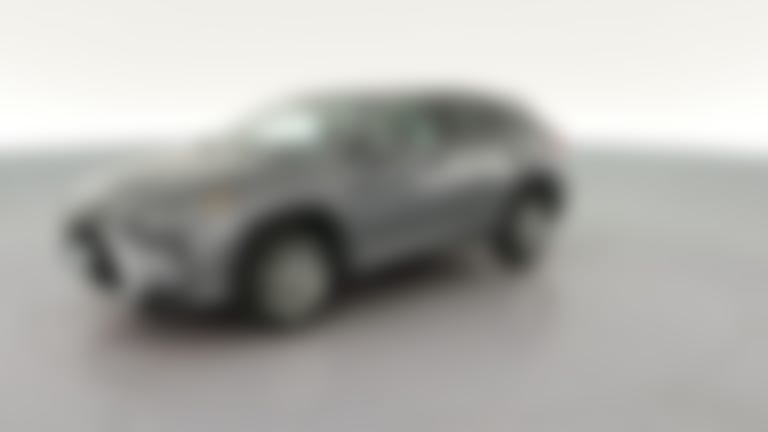 2019 Lexus RX vehicle photo