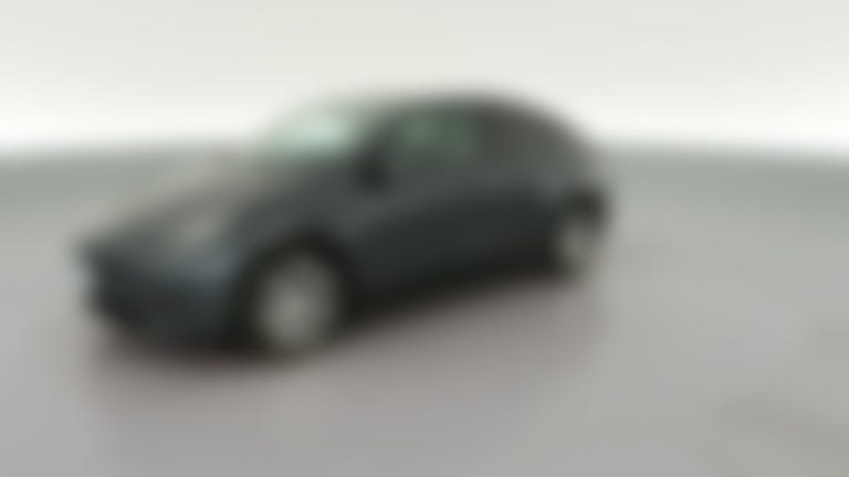 2021 Tesla Model Y vehicle photo