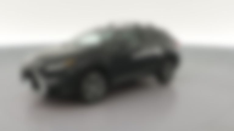 2019 Lexus RX vehicle photo