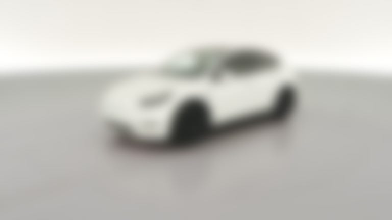 2023 Tesla Model Y vehicle photo