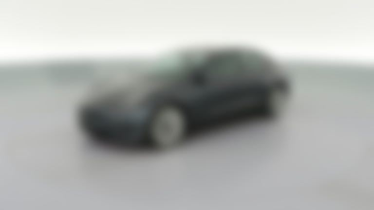 2021 Tesla Model 3 vehicle photo