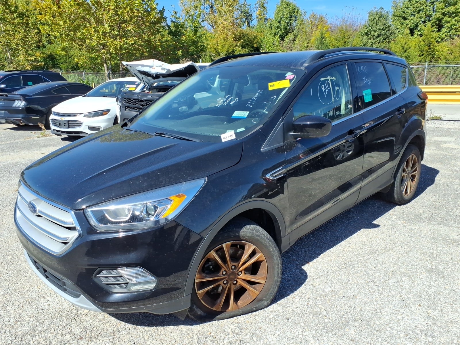 2019 Ford Escape SEL