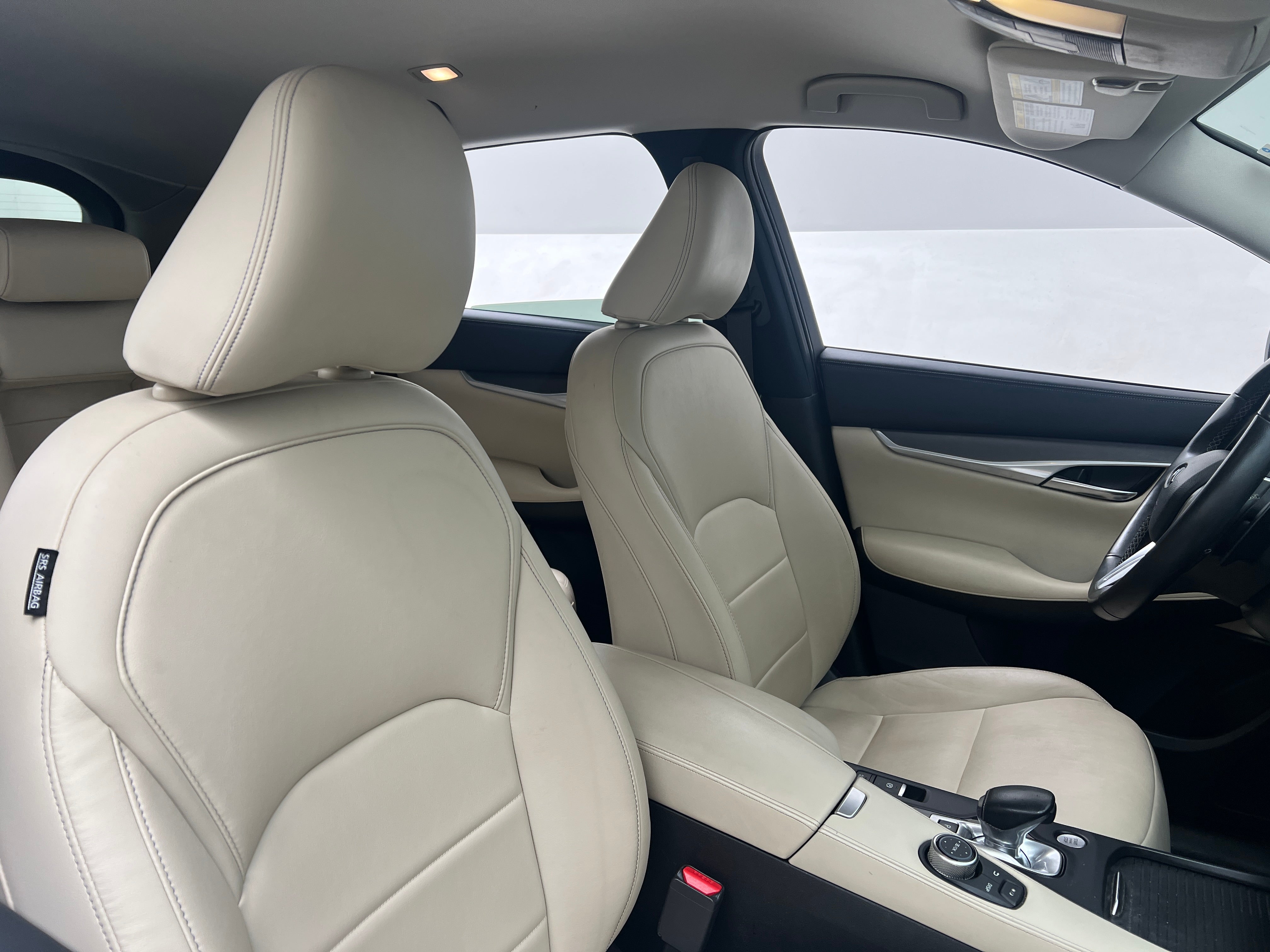 2019 INFINITI QX50 Pure 2